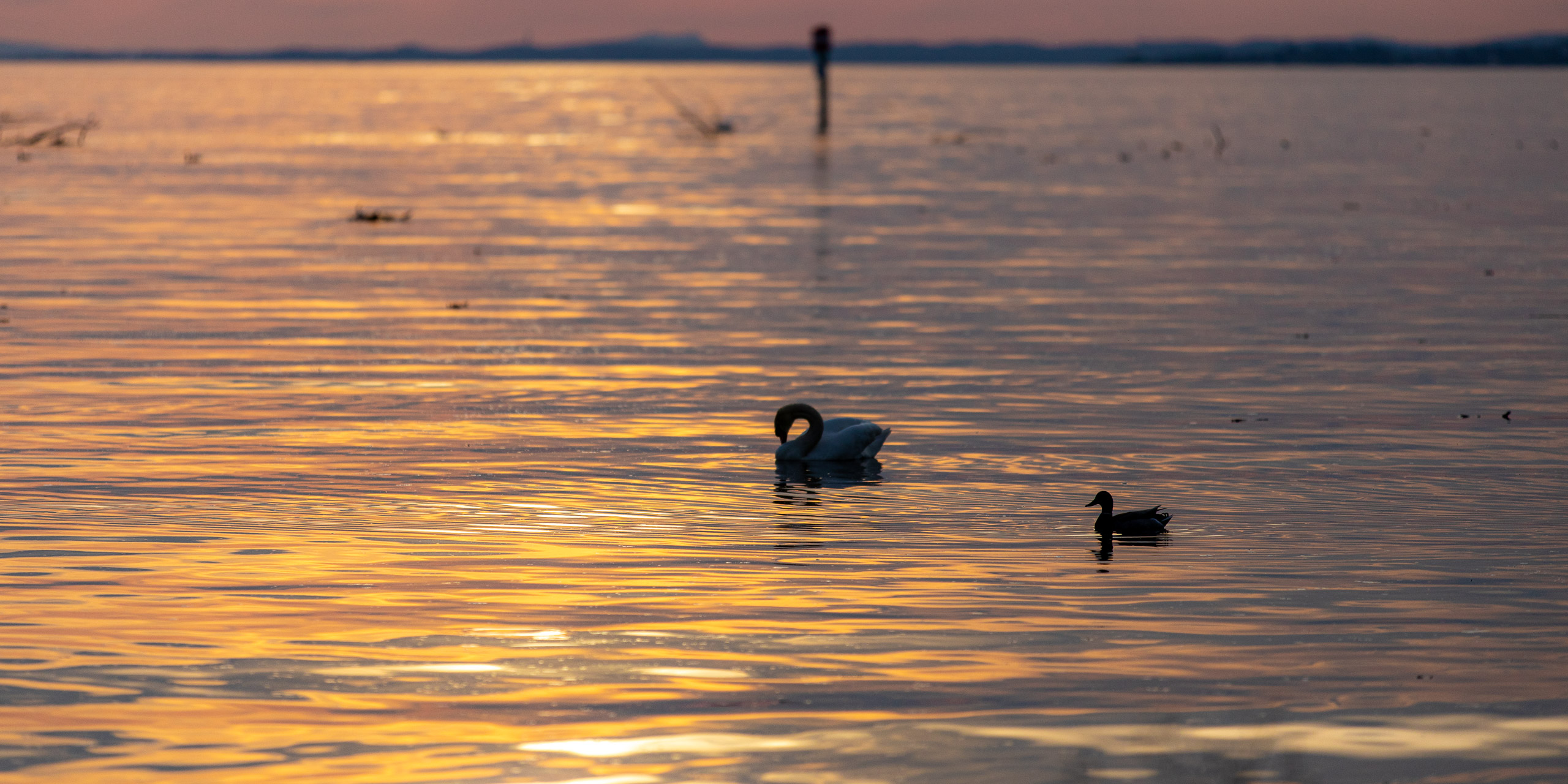 20230506195950 RD4 3895